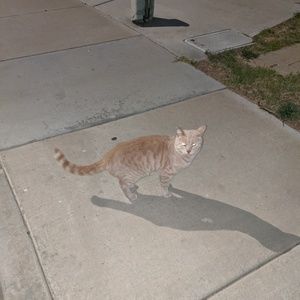 Meet your Posher, Matthew